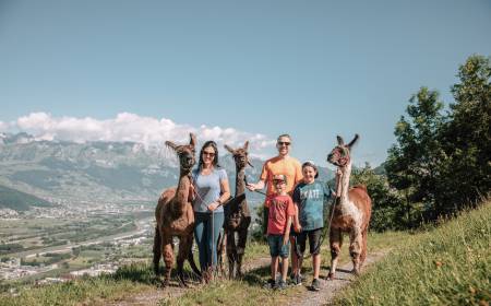 Wanderung mit Lama und Alpaka in Liechtenstein