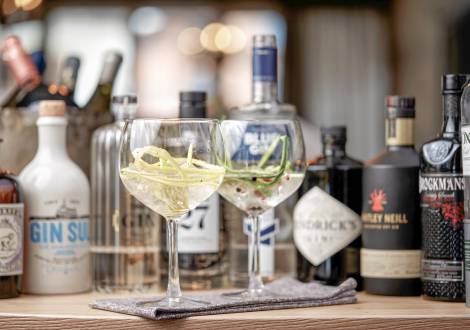 Gin-Drinks im Hotel Gorfion