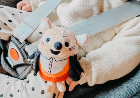 Baby im Maxi Cosi mit Kuscheltier Herr Gorfion